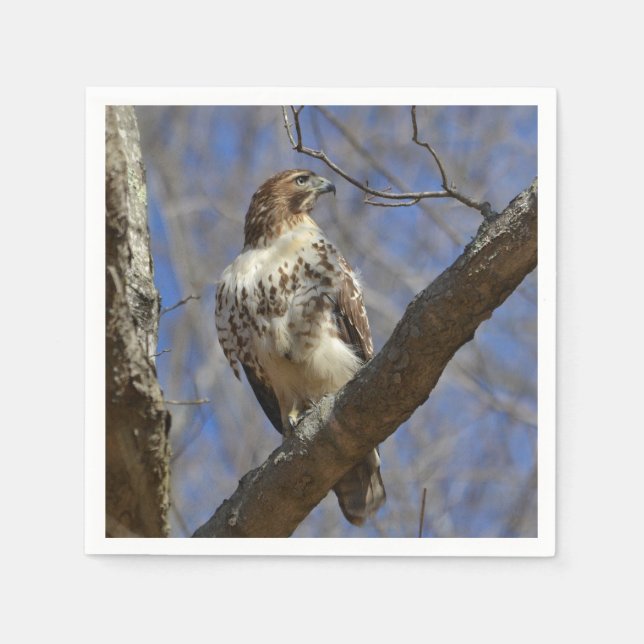 Majestic Hawk Napkin (Front)