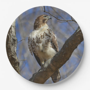 Majestic Hawk Paper Plate