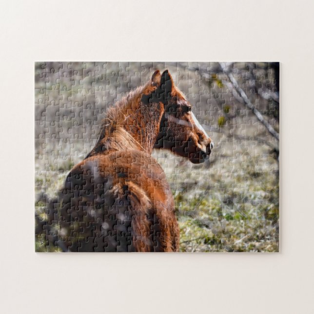 Majestic horse at farm Georgia, USA Jigsaw Puzzle (Horizontal)