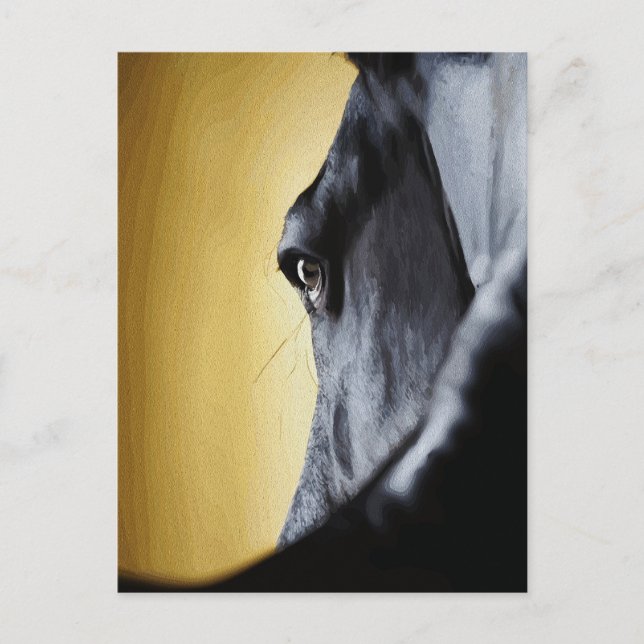 Majestic Horse Eye Close-Up Art Postcard (Front)