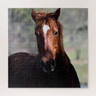 majestic horse jigsaw puzzle