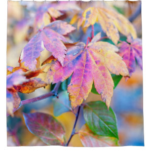Majestic Japanese Maple leaves Shower Curtain