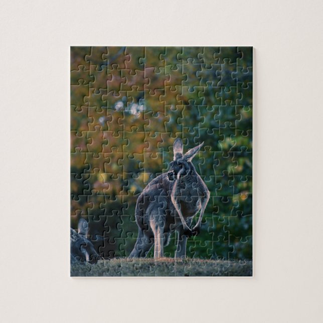 Majestic Kangaroo Jigsaw Puzzle (Vertical)