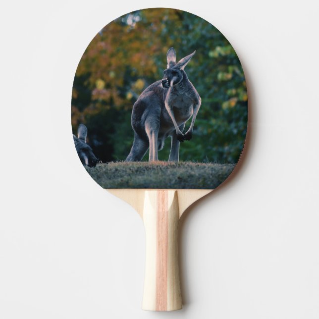 Majestic Kangaroo Ping Pong Paddle (Front)