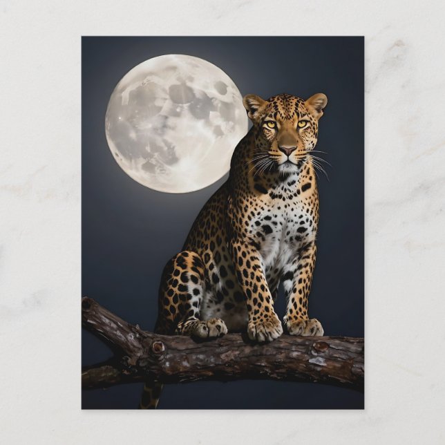 Majestic Leopard and Full Moon  Postcard (Front)