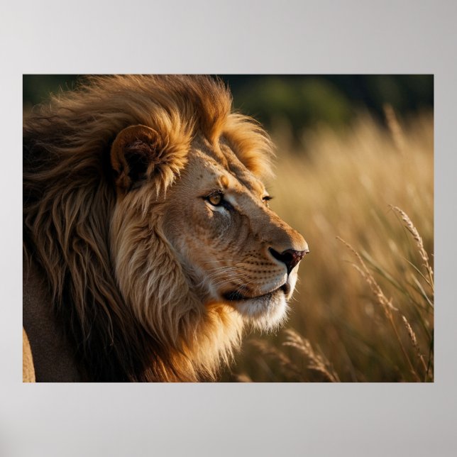 Majestic Lion Background Poster (Front)