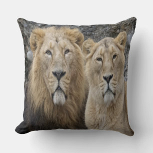 Majestic Lion Couple Cushion