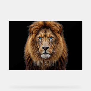 Majestic Lion Face with Blue Eyes Wildlife Anima Acrylic Sign