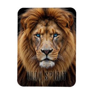 Majestic Lion Face with Blue Eyes Wildlife Anima Magnet