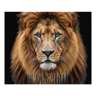 Majestic Lion Face with Blue Eyes Wildlife Anima Photo Print