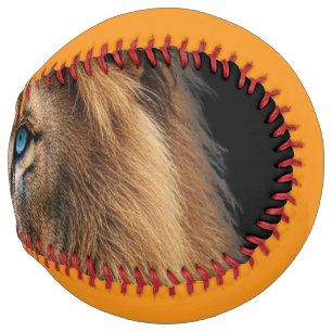 Majestic Lion Face with Blue Eyes   Wildlife Anima Softball