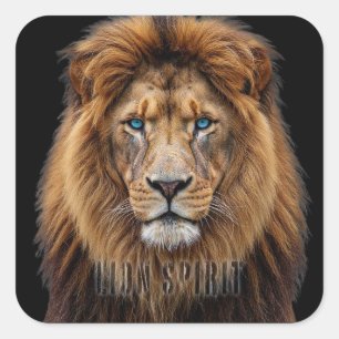 Majestic Lion Face with Blue Eyes   Wildlife Anima Square Sticker