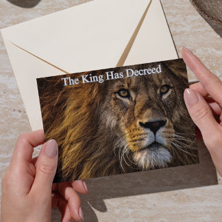 Majestic Lion Funny Birthday Card