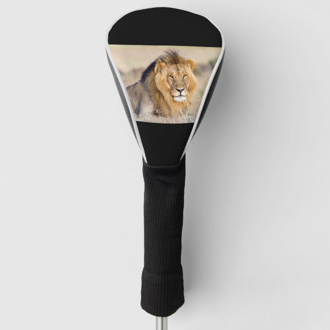 Majestic lion golf head cover (Front)