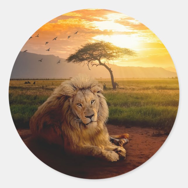 Majestic Lion in Africa at Sunset Classic Round Sticker (Front)