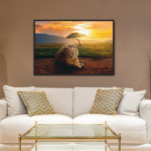 Majestic Lion in Africa at Sunset Poster