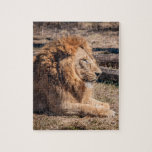 Majestic lion jigsaw puzzle<br><div class="desc">Majestic male lion</div>