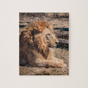 Majestic lion jigsaw puzzle