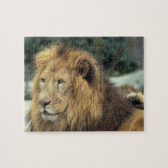 Majestic Lion Jigsaw Puzzle (Horizontal)