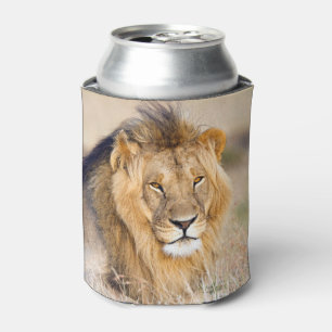Majestic lion photo can cooler