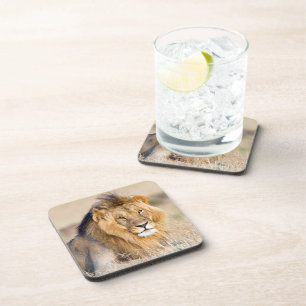 Majestic lion photo coaster