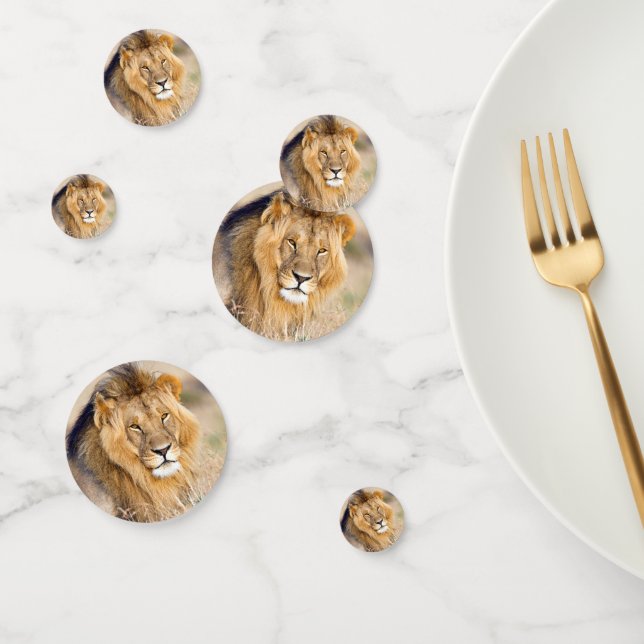 Majestic lion photo confetti (Group)