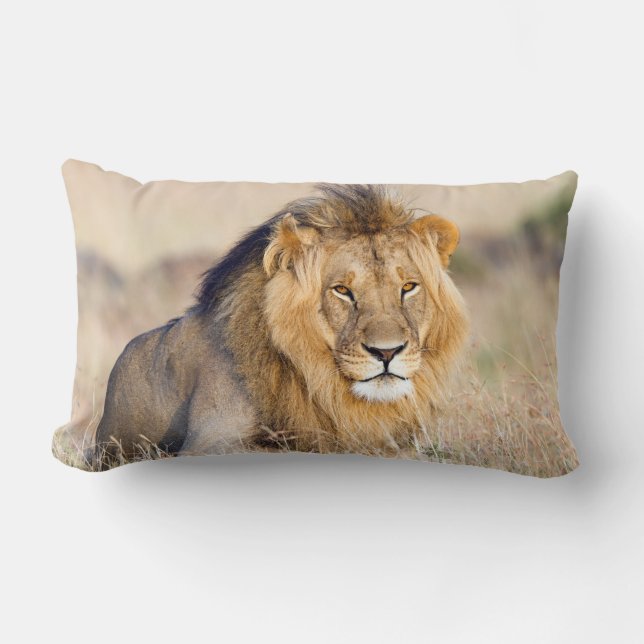 Majestic lion photo lumbar cushion (Front)