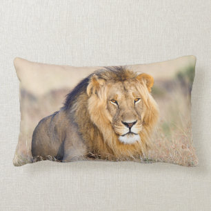 Majestic lion photo lumbar cushion
