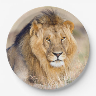 Majestic lion photo paper plate