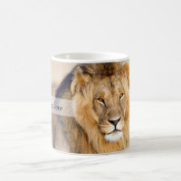 Majestic lion photo personalised