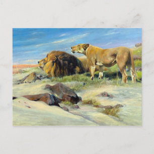 Majestic Lions Vintage Nature Painting Postcard