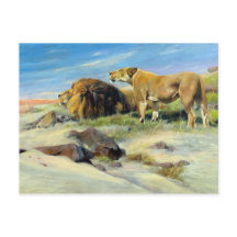 Majestic Lions Vintage Nature Painting