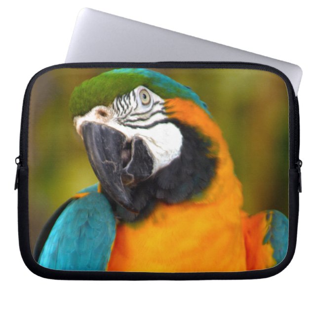 Majestic Macaw Laptop Sleeve (Front)