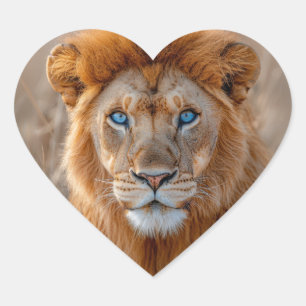 Majestic Male Lion with Glowing Blue Eyes Heart Sticker