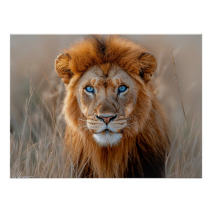Majestic Male Lion with Glowing Blue Eyes Poster