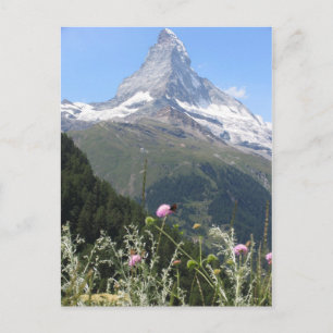 Majestic Matterhorn Mountain Postcard