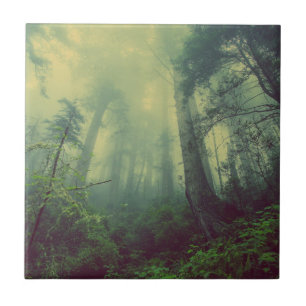 Majestic Misty Forest Ceramic Tile