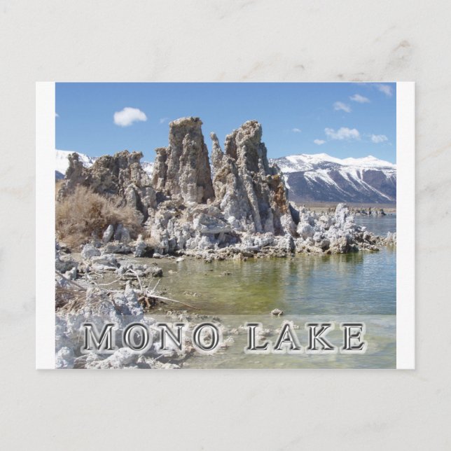 Majestic Mono Lake Postcard (Front)