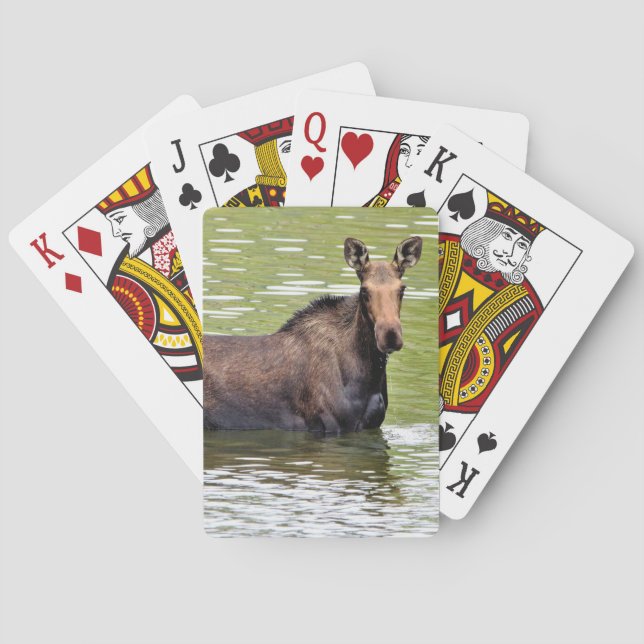 Majestic Moose Playing Cards (Back)