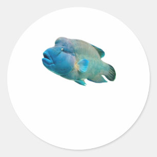 Majestic Napoleon Wrasse Bali Art). Classic Round Sticker