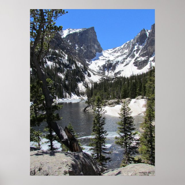 Majestic Nature in Estes Park Colorado Poster (Front)