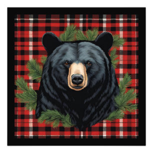 Majestic Northern Black Bear Photo Enlargement Print