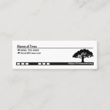 Majestic Oak: A Testament to Time and Nature