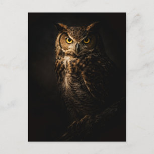 Majestic Owl Postcard