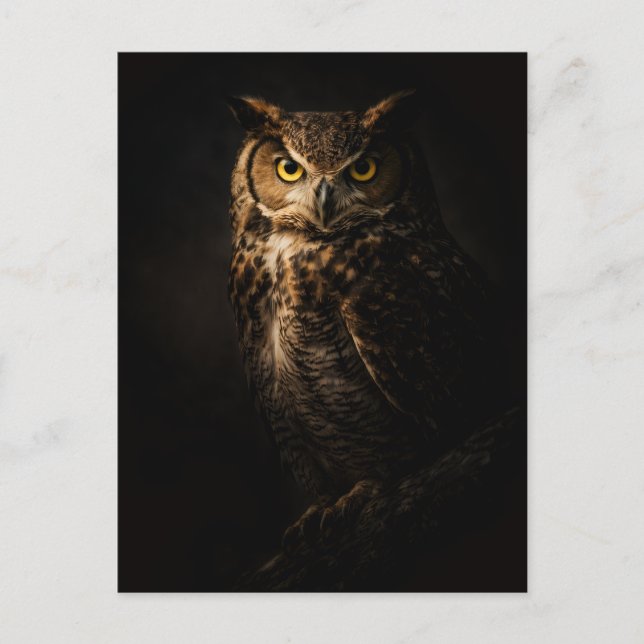 Majestic Owl Postcard (Front)