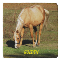 Majestic Palomino Horse - Fine Art Photography