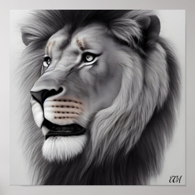Majestic Pencil Drawing of a Lion  Poster (Front)