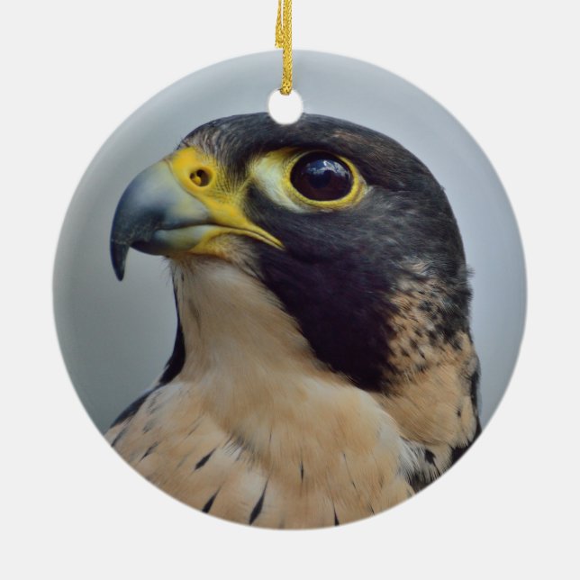 Majestic Peregrine falcon Ceramic Ornament (Back)