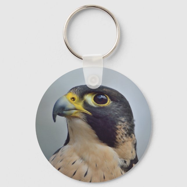 Majestic Peregrine falcon Key Ring (Front)