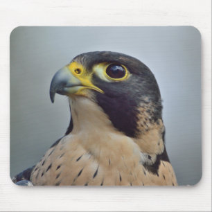 Majestic Peregrine falcon Mouse Pad